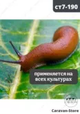 Фото превью товара - #2