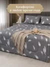 Фото превью товара - #1