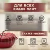 Фото превью товара - #3